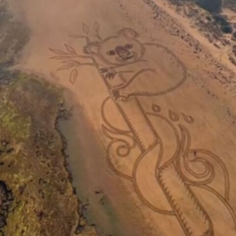 Αυστραλία: Έφτιαξε ένα γιγάντιο κοάλα στην άμμο για εκείνα που κάηκαν στις φλόγες