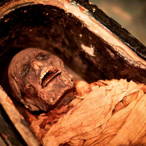 moumia.jpg