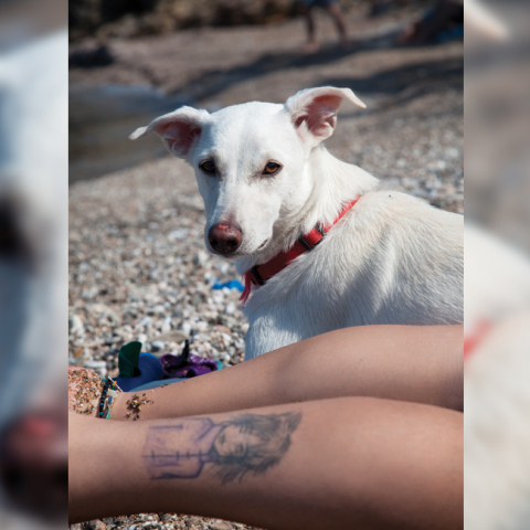 Ματούλα Ζαμάνη