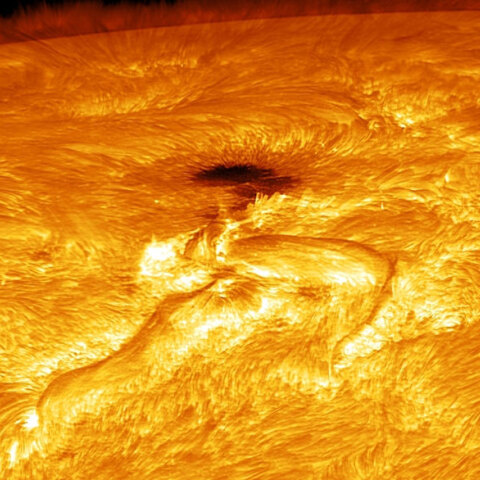 iliakikilidapiginso-aura-nsf