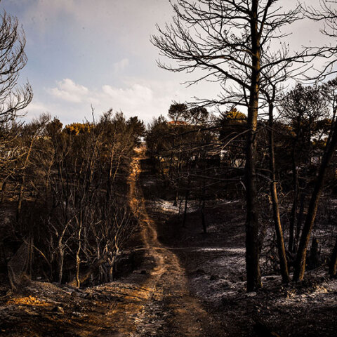 Φονική πυρκαγιά στο Μάτι