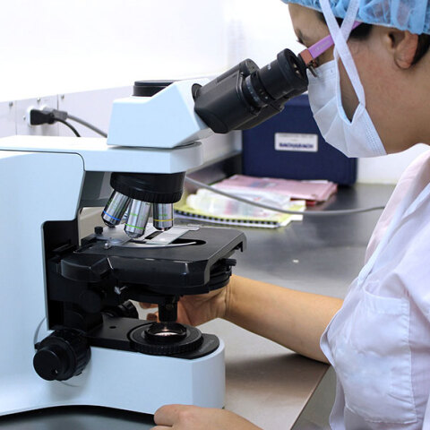 microscope-2352650_1920