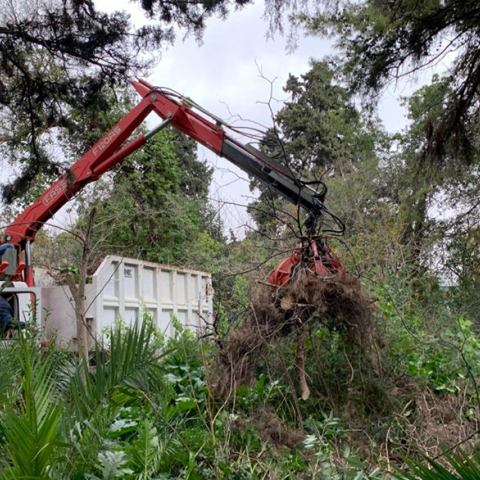 Βοτανικός Κήπος