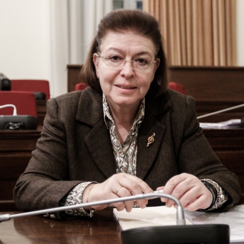 Λίνα Μενδώνη, Πνευματικά Δικαιώματα 