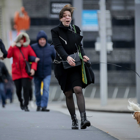 Όσα παίρνει ο άνεμος στην Ολλανδία 