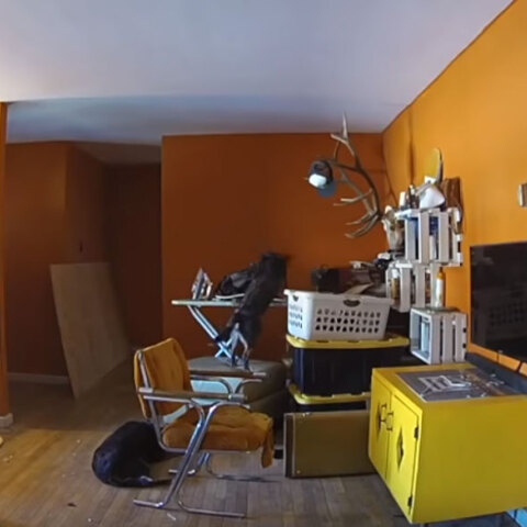 ΗΠΑ: Σκύλος ξεκινά πυρκαγιά σε κατοικία