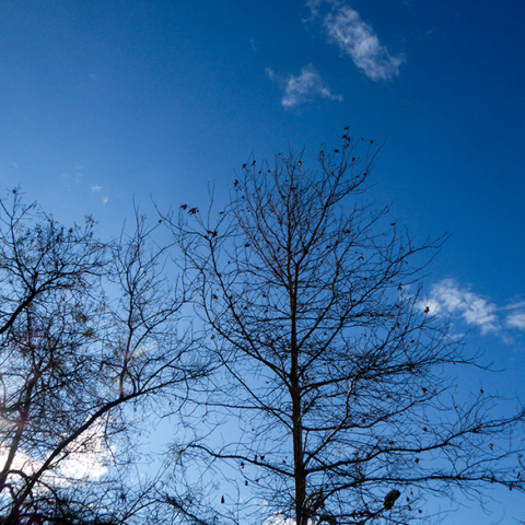 Ηλιοφάνεια