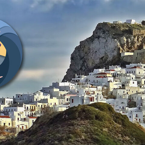 skyros-run-2020.jpg