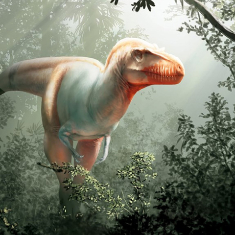 Ο «Θανατοθεριστής» ανακαλύφθηκε στον Καναδά 