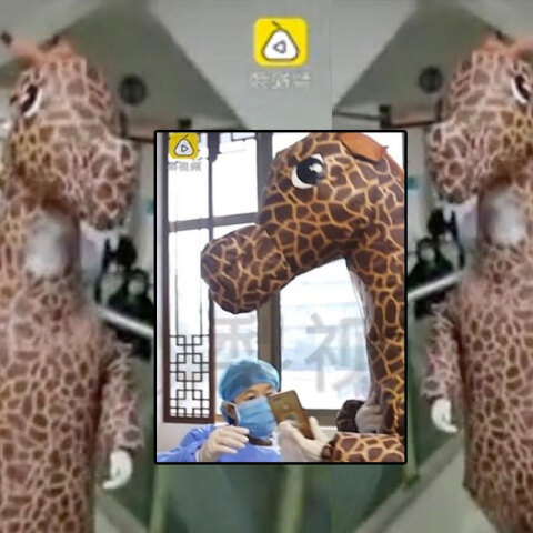 Απελπισία στην Κίνα με τον κοροναϊό: Πήγε στο νοσοκομείο με στολή καμηλοπάρδαλης