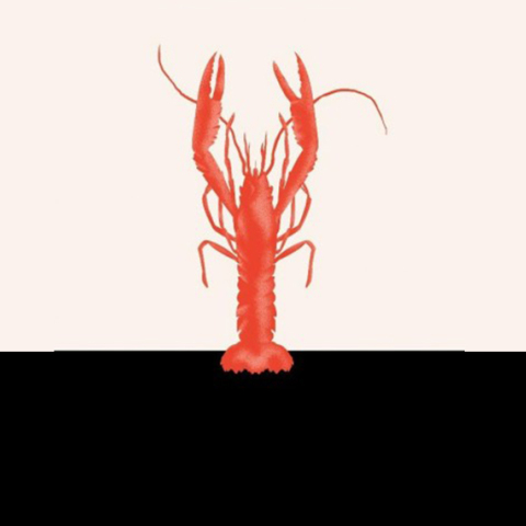 ekei pou tragoudane oi karavides Delia Owens ekdoseis doma