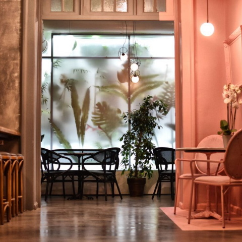 Beauty Killed the Beast