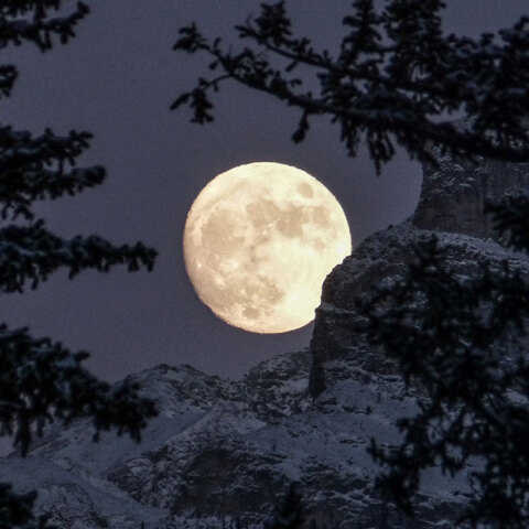 nea selini stous ixthyes