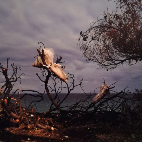 Μάτι - Οδοιπορικό - 1,5 χρόνο μετά