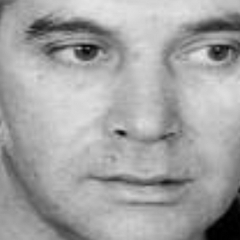 Βαγγέλης Πλοιός 