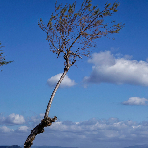 Παραλία Νέας Μάκρης 