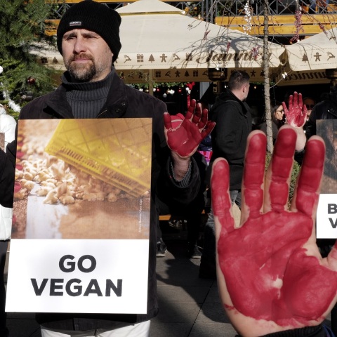 Διαμαρτυρία Βίγκαν 