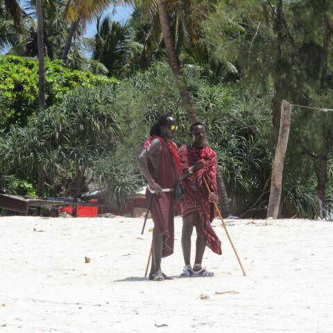 Ταξίδι στη Ζανζιβάρη