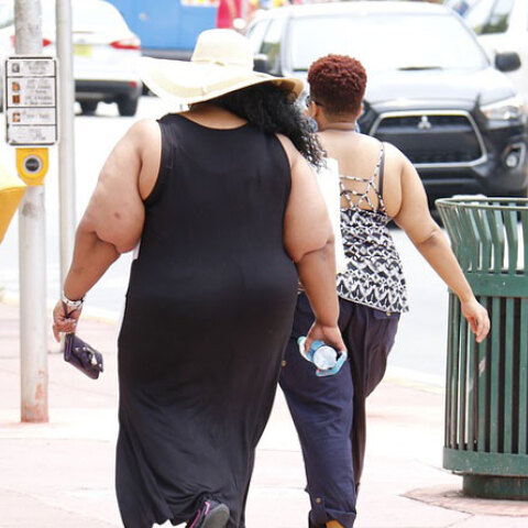 Παχυσαρκία 