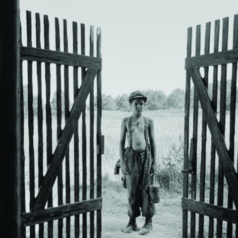 Κριτική της ταινίας «Το βαμμένο πουλί»