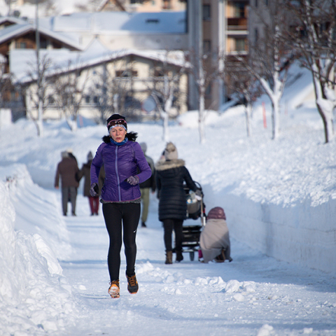 Αυστριακές Άλπεις 