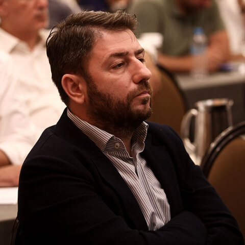 Νίκος Ανδρουλάκης ευρωβουλευτής ΚΙΝΑΛ