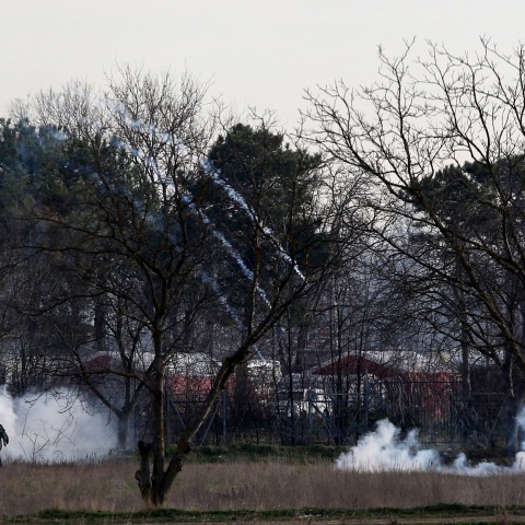 ΚΑΣΤΑΝΙΕΣ - ΕΒΡΟΣ -ΣΥΝΟΡΑ - ΜΕΤΑΝΑΣΤΕΣ - ΤΟΥΡΚΙΑ
