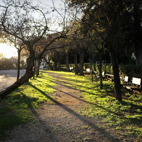 Θερμός ο φετινός χειμώνας στην Ελλάδα