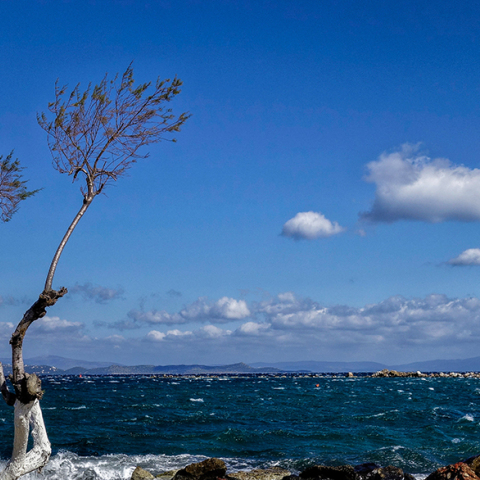 Καιρός, Νέα Μάκρη 