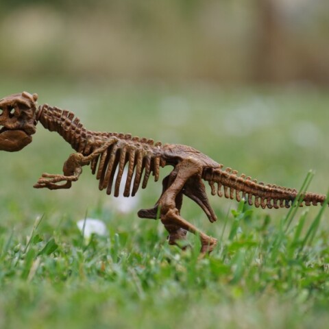 Δεινόσαυρος