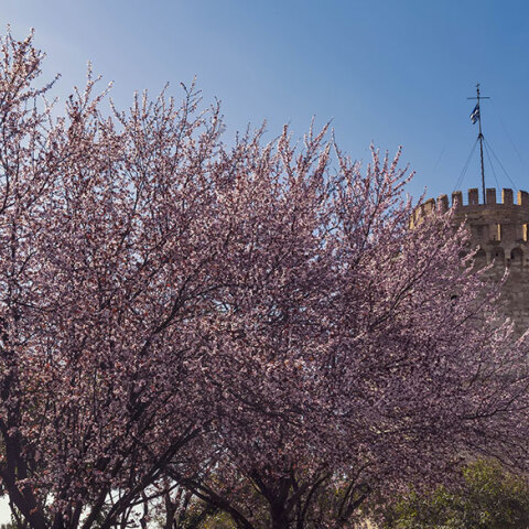Άνοιξη στη Θεσσαλονίκη