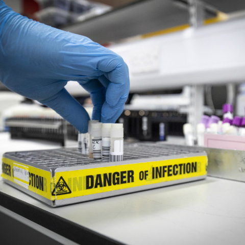 Ο κορωνοϊός δεν είναι κατασκευασμένος σε εργαστήριο