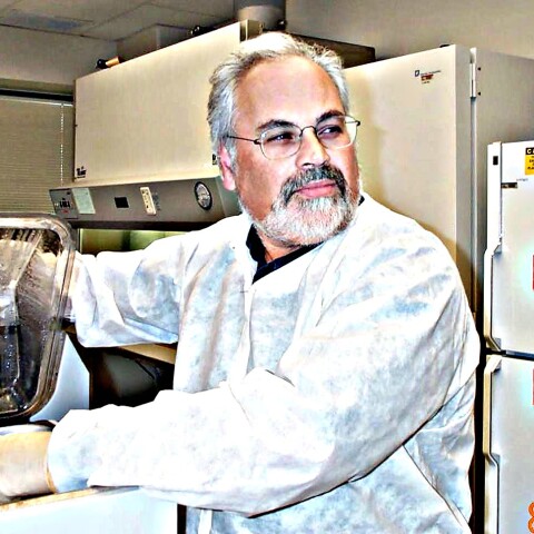 Γιώργος Παυλάκης 