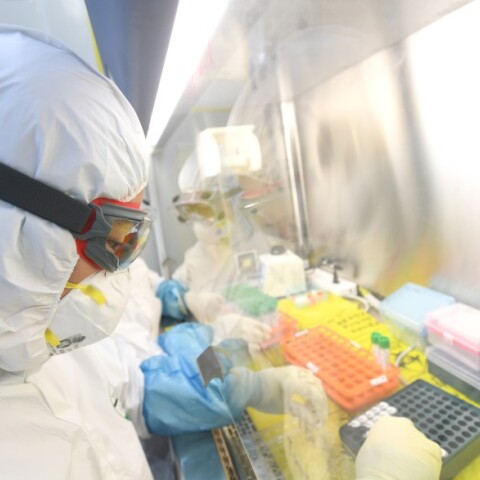 Κορωνοϊός μελέτη