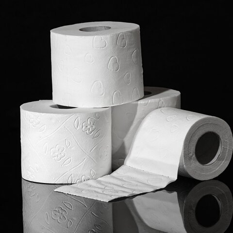 toilet-paper-3964492_1280.jpg