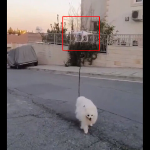 Ισραήλ-Κορωνοϊός: Επιστράτευσε... drone για να βγάλει βόλτα τον σκύλο