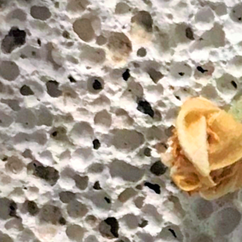 Η Μίκα Σύμπουρα γράφει ιστορίες με διαφορετικό τέλος.