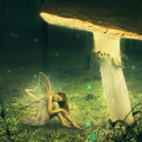 Τα ζώδια της Κυριακής 22 Μαρτίου 2020