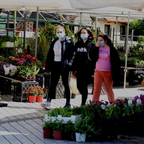 Κλειστές θα είναι το Σάββατο 21 Μαρτίου όλες οι λαϊκές της χώρας, όπως γνωστοποίησε ο υφυπουργός Νίκος Χαρδαλιάς