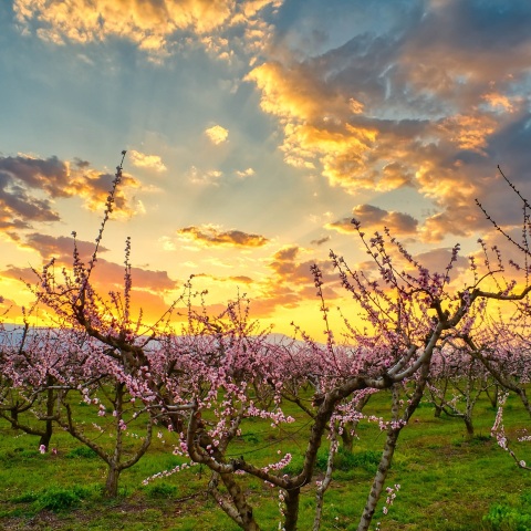 Αναλυτικά η πρόγνωση του καιρού για το Σάββατο, 21-03-2020