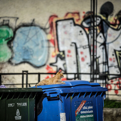 Μην πετάτε γάντια και μάσκες για τον κορωνοϊό στους μπλε κάδους ανακύκλωσης