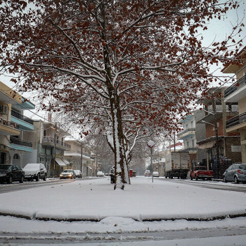 Χιόνια στην Κοζάνη