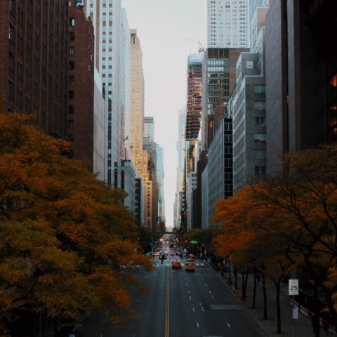 Ένας από τους πιο γνωστούς δρόμους της Νέας Υόρκης άδειος