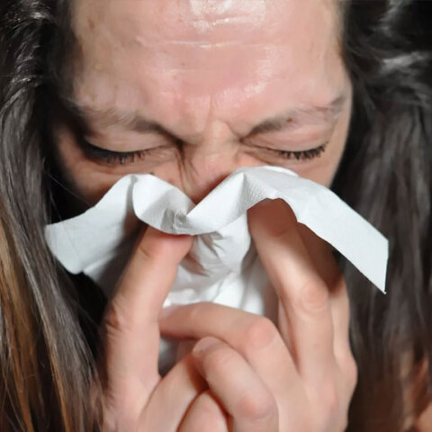 Εποχική γρίπη