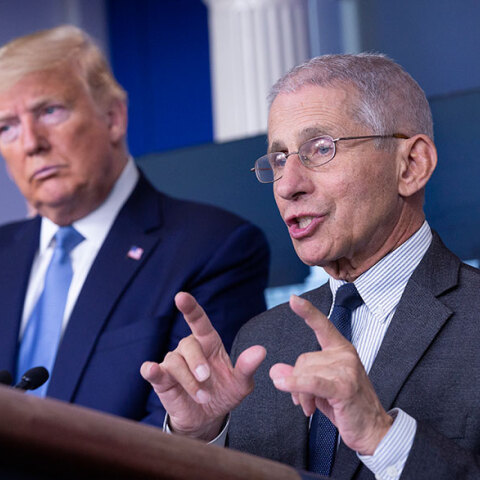 Άντονι Φάουτσι, Ντόναλντ Τραμπ