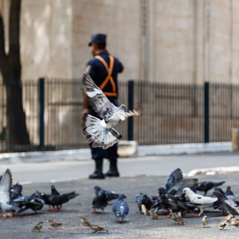 Κορωνοϊός: Ξεπέρασαν τους 500.000 τα κρούσματα κορωνοϊού παγκοσμίως