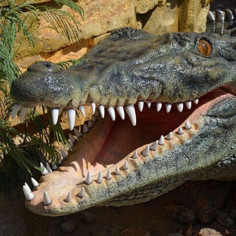 Κροκόδειλος