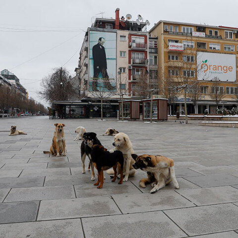 Πρίστινα, Κόσοβο