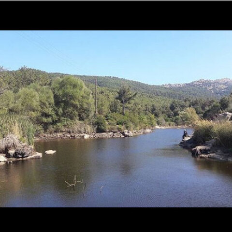 Ράχες Ικαρίας