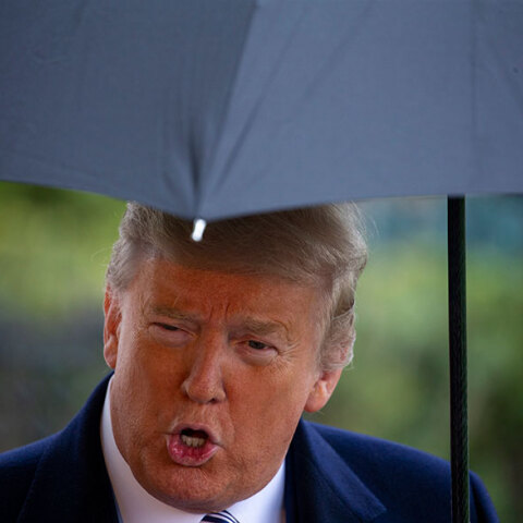 Πρόεδρος των ΗΠΑ, Ντόναλντ Τραμπ